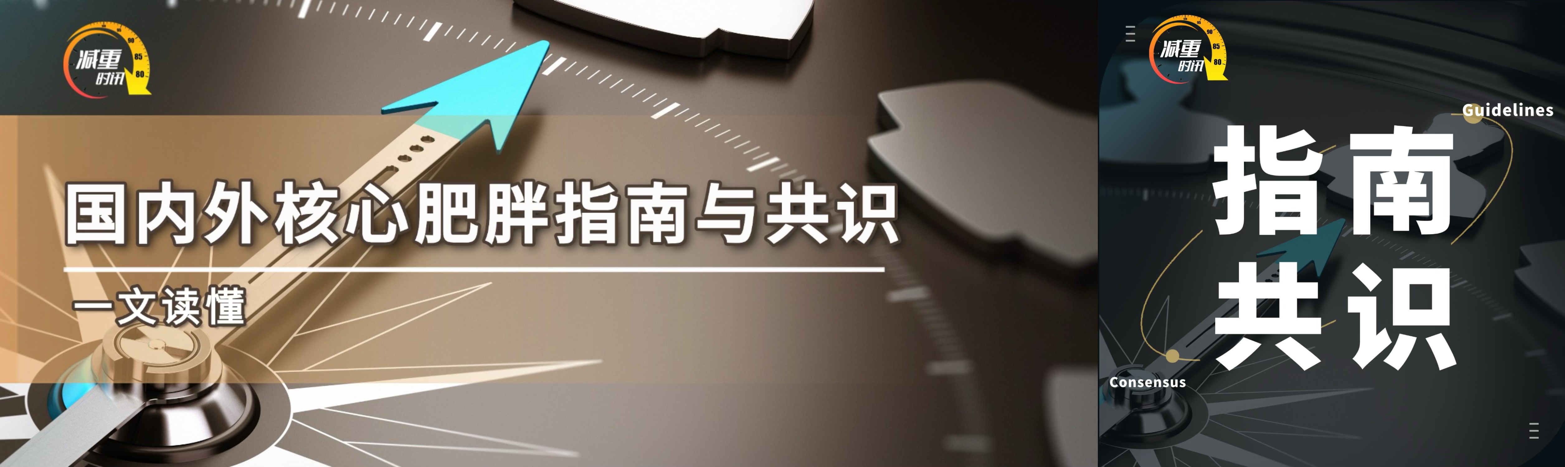 2025肥胖管理新纪元：全球指南与共识一文速览