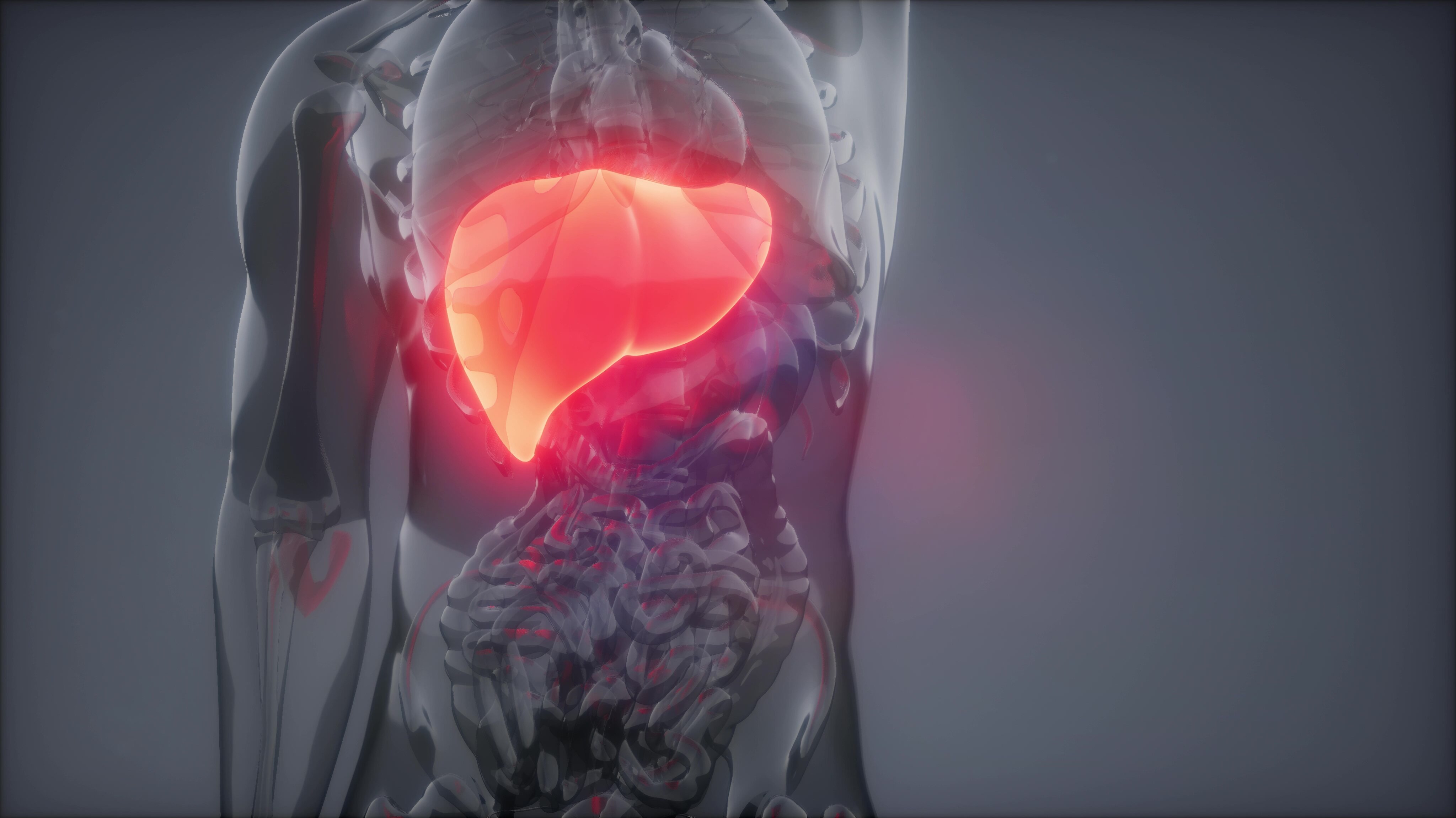 尿酸与非酒精性脂肪肝的“隐秘关联”：高血压人群需警惕的代谢信号