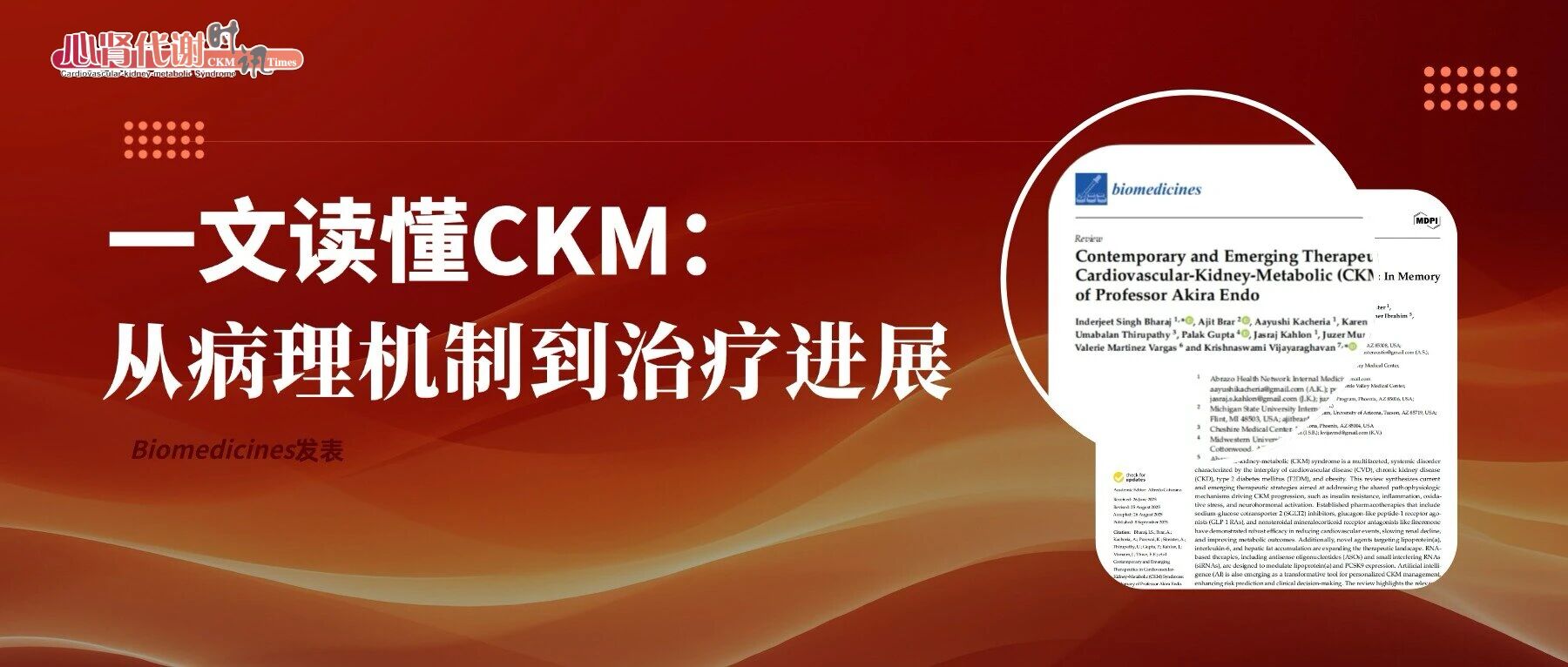 一文读懂CKM：从病理机制到治疗进展