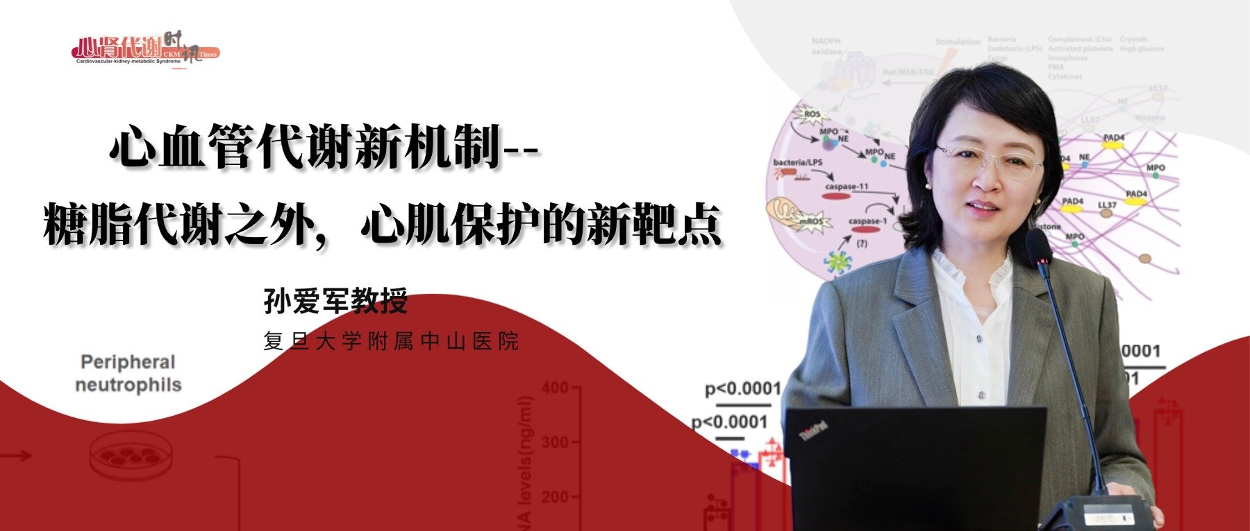 孙爱军教授：心血管代谢新机制——糖脂代谢之外，心肌保护的新靶点