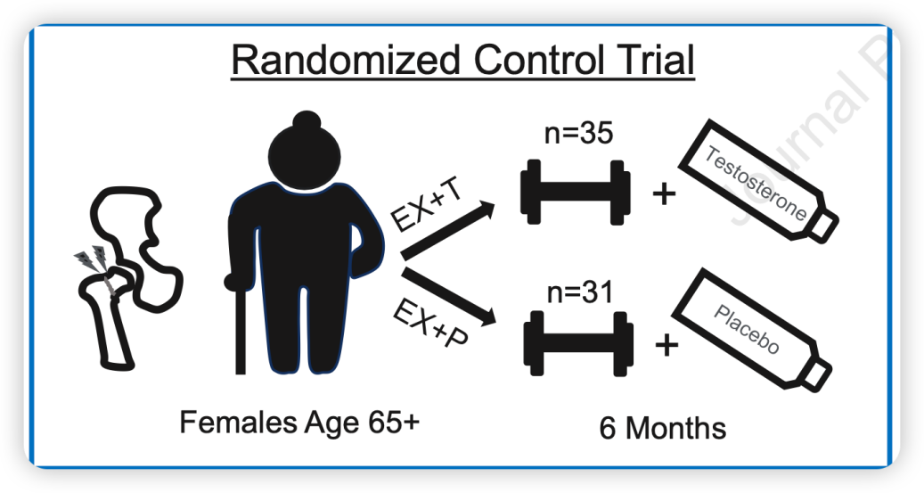 重塑老年健康版图：当激素治疗遇上康复医学——STEP-HI研究的新启示
