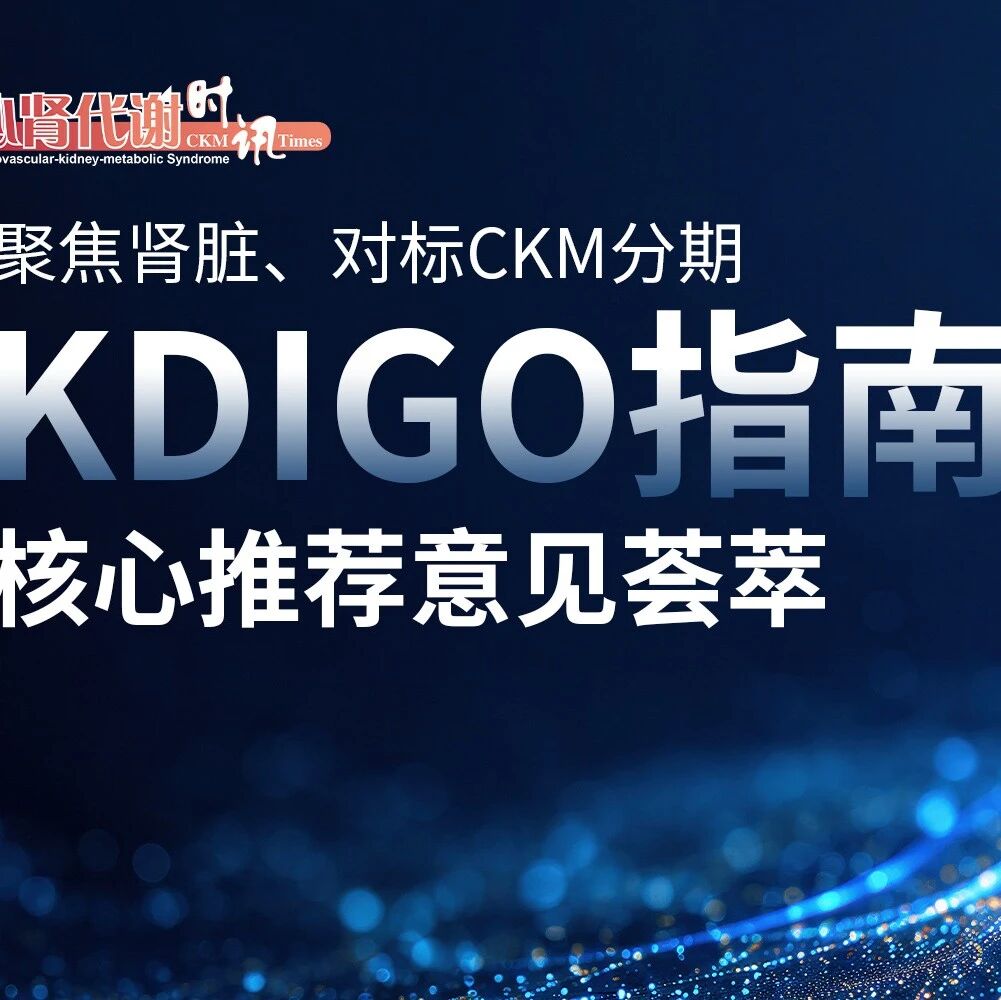 收藏！聚焦肾脏、对标CKM分期，KDIGO指南核心推荐意见荟萃