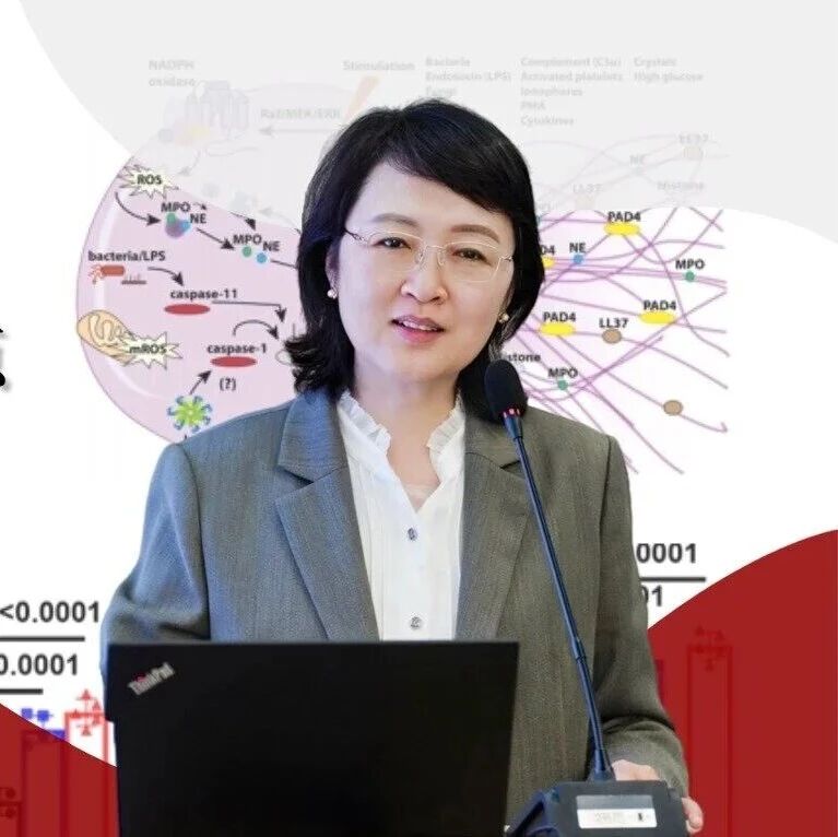 【CKM精品课】孙爱军教授：心血管代谢新机制——糖脂代谢之外，心肌保护的新靶点